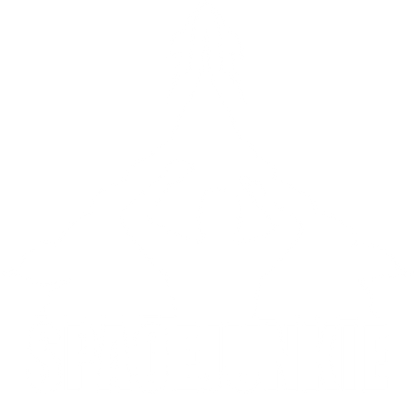 Spacejunkie webshop